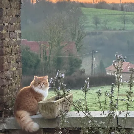 Casa vacanze Les Du Chateau Du Gros Tison Thiembronne