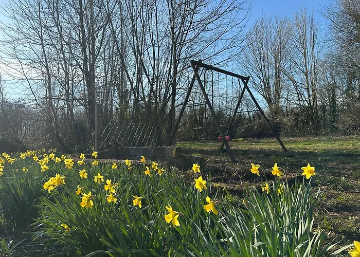 Les Du Chateau Du Gros Tison * Thiembronne